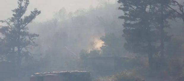 Kocaeli Derince’de orman yangını